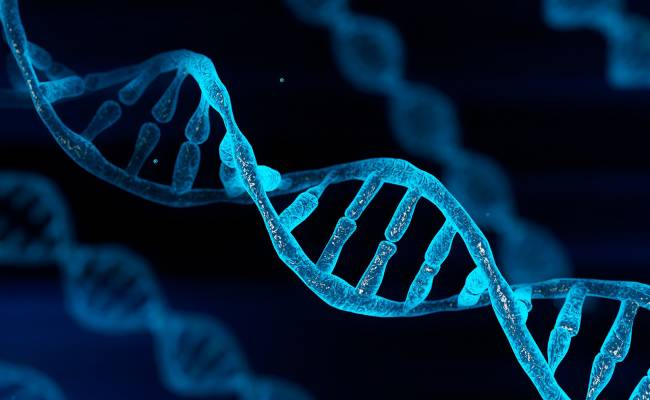 cgp2 Cardio Genetics Program 1